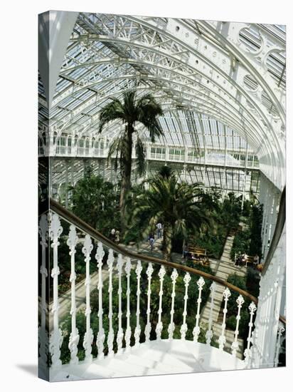 Interior of the Temperate House, Restored in 1982, Kew Gardens, Greater London-Richard Ashworth-Stretched Canvas
