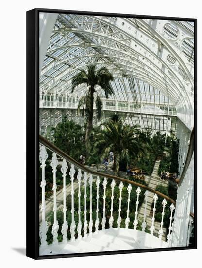 Interior of the Temperate House, Restored in 1982, Kew Gardens, Greater London-Richard Ashworth-Framed Stretched Canvas