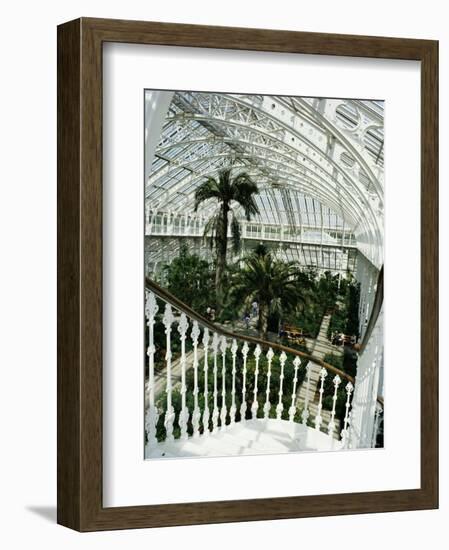 Interior of the Temperate House, Restored in 1982, Kew Gardens, Greater London-Richard Ashworth-Framed Photographic Print