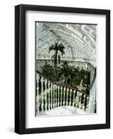 Interior of the Temperate House, Restored in 1982, Kew Gardens, Greater London-Richard Ashworth-Framed Photographic Print