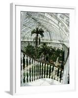 Interior of the Temperate House, Restored in 1982, Kew Gardens, Greater London-Richard Ashworth-Framed Photographic Print