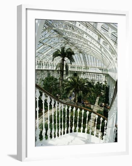 Interior of the Temperate House, Restored in 1982, Kew Gardens, Greater London-Richard Ashworth-Framed Photographic Print