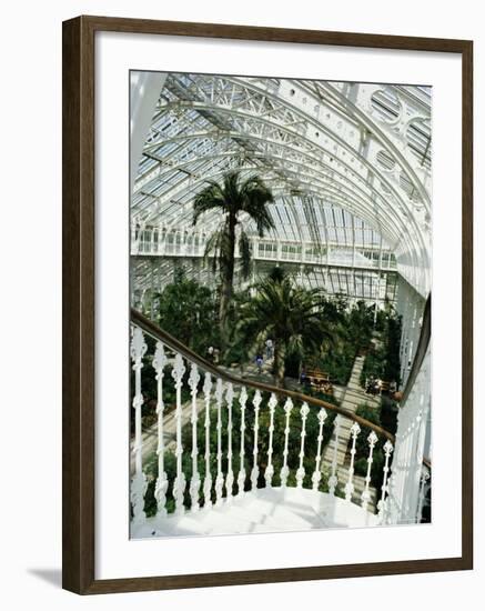 Interior of the Temperate House, Restored in 1982, Kew Gardens, Greater London-Richard Ashworth-Framed Photographic Print