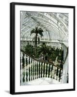 Interior of the Temperate House, Restored in 1982, Kew Gardens, Greater London-Richard Ashworth-Framed Photographic Print