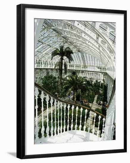 Interior of the Temperate House, Restored in 1982, Kew Gardens, Greater London-Richard Ashworth-Framed Photographic Print