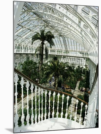 Interior of the Temperate House, Restored in 1982, Kew Gardens, Greater London-Richard Ashworth-Mounted Photographic Print