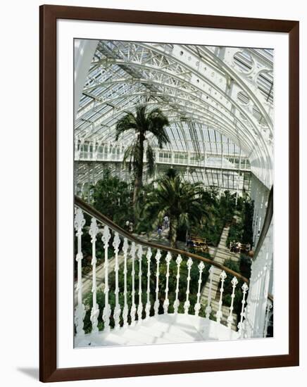 Interior of the Temperate House, Restored in 1982, Kew Gardens, Greater London-Richard Ashworth-Framed Photographic Print