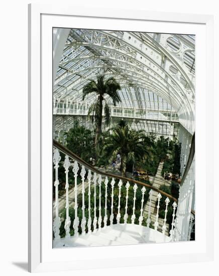 Interior of the Temperate House, Restored in 1982, Kew Gardens, Greater London-Richard Ashworth-Framed Photographic Print