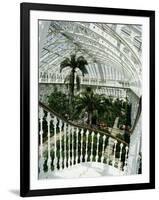 Interior of the Temperate House, Restored in 1982, Kew Gardens, Greater London-Richard Ashworth-Framed Photographic Print