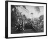 Interior of the White House Greenhouse, Washington Dc, USA, 1908-null-Framed Giclee Print