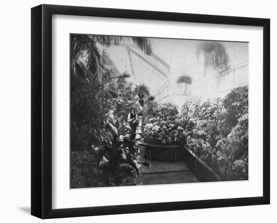 Interior of the White House Greenhouse, Washington Dc, USA, 1908-null-Framed Giclee Print