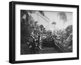 Interior of the White House Greenhouse, Washington Dc, USA, 1908-null-Framed Giclee Print