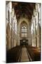 Interior of Wimborne Minster, Dorset-Peter Thompson-Mounted Photographic Print