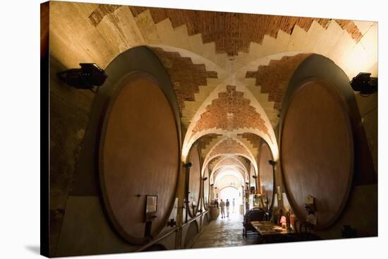 Interior of Wine Cellar (Caveau) of Chateau de Ventenac-En-Minervois, Languedoc-Roussillon, France-Nick Servian-Stretched Canvas