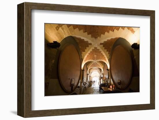 Interior of Wine Cellar (Caveau) of Chateau de Ventenac-En-Minervois, Languedoc-Roussillon, France-Nick Servian-Framed Photographic Print