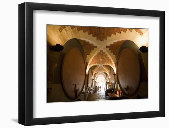 Interior of Wine Cellar (Caveau) of Chateau de Ventenac-En-Minervois, Languedoc-Roussillon, France-Nick Servian-Framed Photographic Print