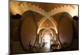 Interior of Wine Cellar (Caveau) of Chateau de Ventenac-En-Minervois, Languedoc-Roussillon, France-Nick Servian-Mounted Photographic Print