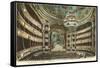 Interior, Opera House,Paris, France-null-Framed Stretched Canvas