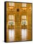 Interior Room of Peterhof, Royal Palace Founded by Tsar Peter the Great, St. Petersburg, Russia-Nancy & Steve Ross-Framed Stretched Canvas