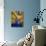 Interior Stairs and Ceiling of Modern Public Spa, Escaldes-Engordany Parish, Andorra-Jim Zuckerman-Photographic Print displayed on a wall