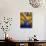 Interior Stairs and Ceiling of Modern Public Spa, Escaldes-Engordany Parish, Andorra-Jim Zuckerman-Photographic Print displayed on a wall