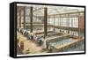 Interior, Sutro Bath House, San Francisco, California-null-Framed Stretched Canvas