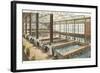 Interior, Sutro Bath House, San Francisco, California-null-Framed Art Print