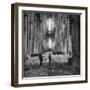 Interior View of a Damaged Cologne Cathedral-null-Framed Photographic Print