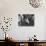 Interior View of Barber Shop-Bernard Hoffman-Photographic Print displayed on a wall