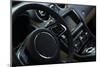 Interior View of Car-Sergey Nivens-Mounted Photographic Print