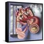 Interior View of Heart with Detail of Muscle Cells and Atherosclerotic Artery-null-Framed Stretched Canvas