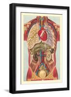 Interior View of Human Abdomen-null-Framed Art Print