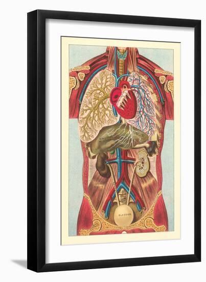 Interior View of Human Abdomen-null-Framed Art Print