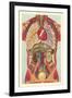 Interior View of Human Abdomen-null-Framed Art Print