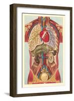 Interior View of Human Abdomen-null-Framed Art Print