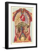 Interior View of Human Abdomen-null-Framed Art Print