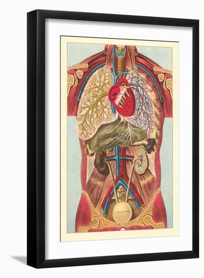 Interior View of Human Abdomen-null-Framed Art Print