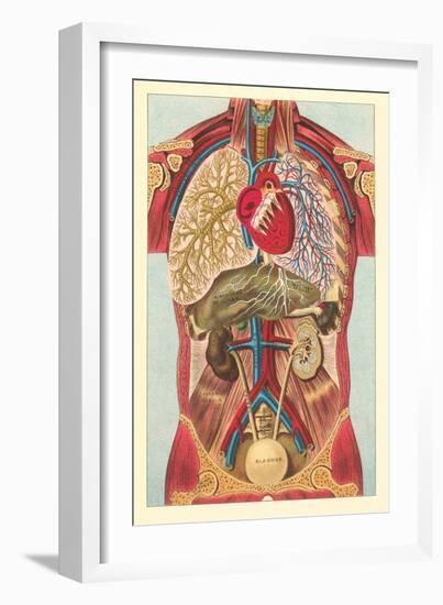 Interior View of Human Abdomen-null-Framed Art Print