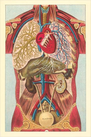 Art Print, , large