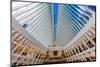 Interior view of Oculus Transportation Hub, NY, NY-null-Mounted Photographic Print