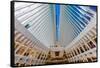 Interior view of Oculus Transportation Hub, NY, NY-null-Framed Stretched Canvas