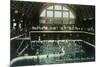 Interior View of the Bathing Pavilion - Santa Cruz, CA-Lantern Press-Mounted Premium Giclee Print