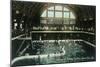 Interior View of the Bathing Pavilion - Santa Cruz, CA-Lantern Press-Mounted Art Print