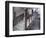 Interior View of the Grand Staircase in Charterhouse, London, 1880-Henry Dixon-Framed Photographic Print