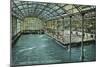 Interior View of the Indoor Sutro Baths - San Francisco, CA-Lantern Press-Mounted Art Print