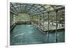 Interior View of the Indoor Sutro Baths - San Francisco, CA-Lantern Press-Framed Art Print