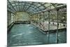 Interior View of the Indoor Sutro Baths - San Francisco, CA-Lantern Press-Mounted Art Print