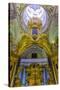 Interior View of the Opulence of the Cathedral of Saint Peter and Paul-Michael-Stretched Canvas