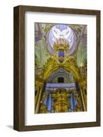 Interior View of the Opulence of the Cathedral of Saint Peter and Paul-Michael-Framed Photographic Print
