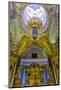 Interior View of the Opulence of the Cathedral of Saint Peter and Paul-Michael-Mounted Photographic Print